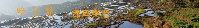 头标.jpg
